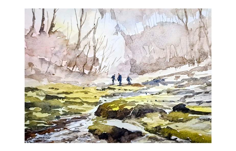 Near Bolton Abbey